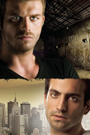 Kuzey Güney